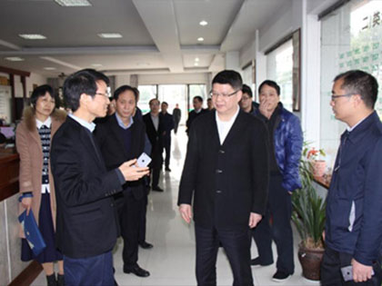 Districtus Party Secretarius Shen Zhijiang inquirit Xingfa Group